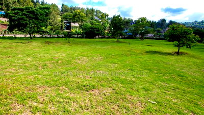 Fully Serviced 1/4-Acre Plots for Sale in Ngong! - Image 3