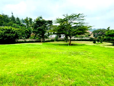 Fully Serviced 1/4-Acre Plots for Sale in Ngong! - Image 2