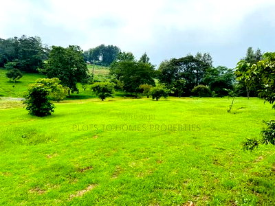 Fully Serviced 1/4-Acre Plots for Sale in Ngong! - Image 5