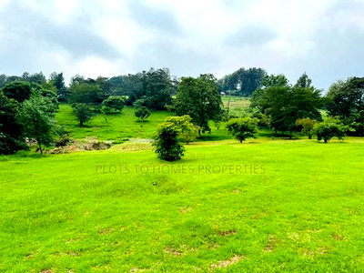 Fully Serviced 1/4-Acre Plots for Sale in Ngong! - Image 7