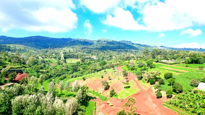 Fully Serviced 1/4-Acre Plots for Sale in Ngong! - Image 14