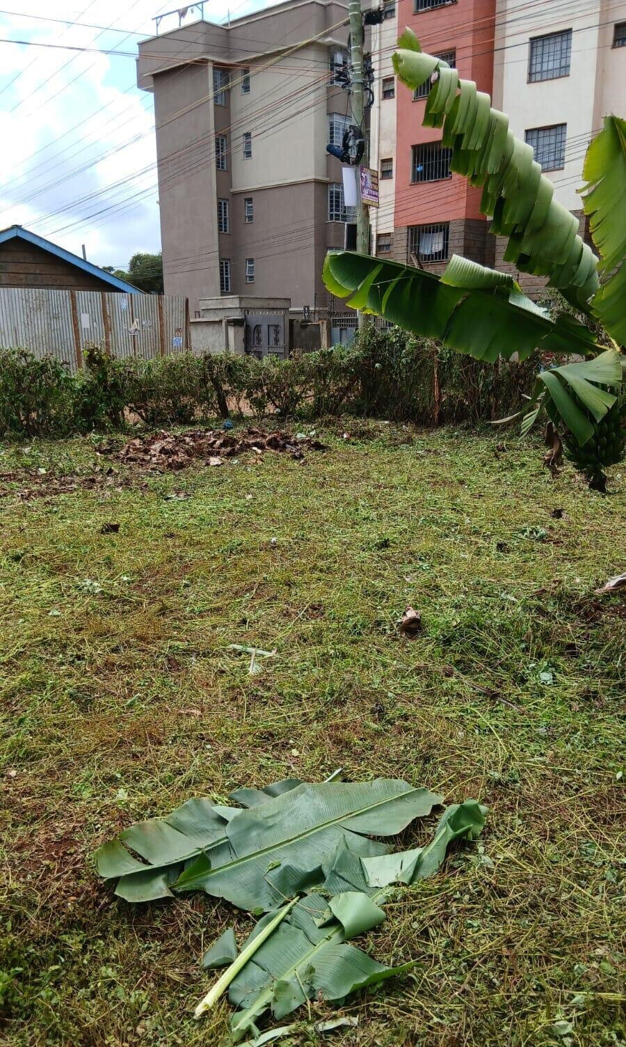 KSh 16M Main Road Plot