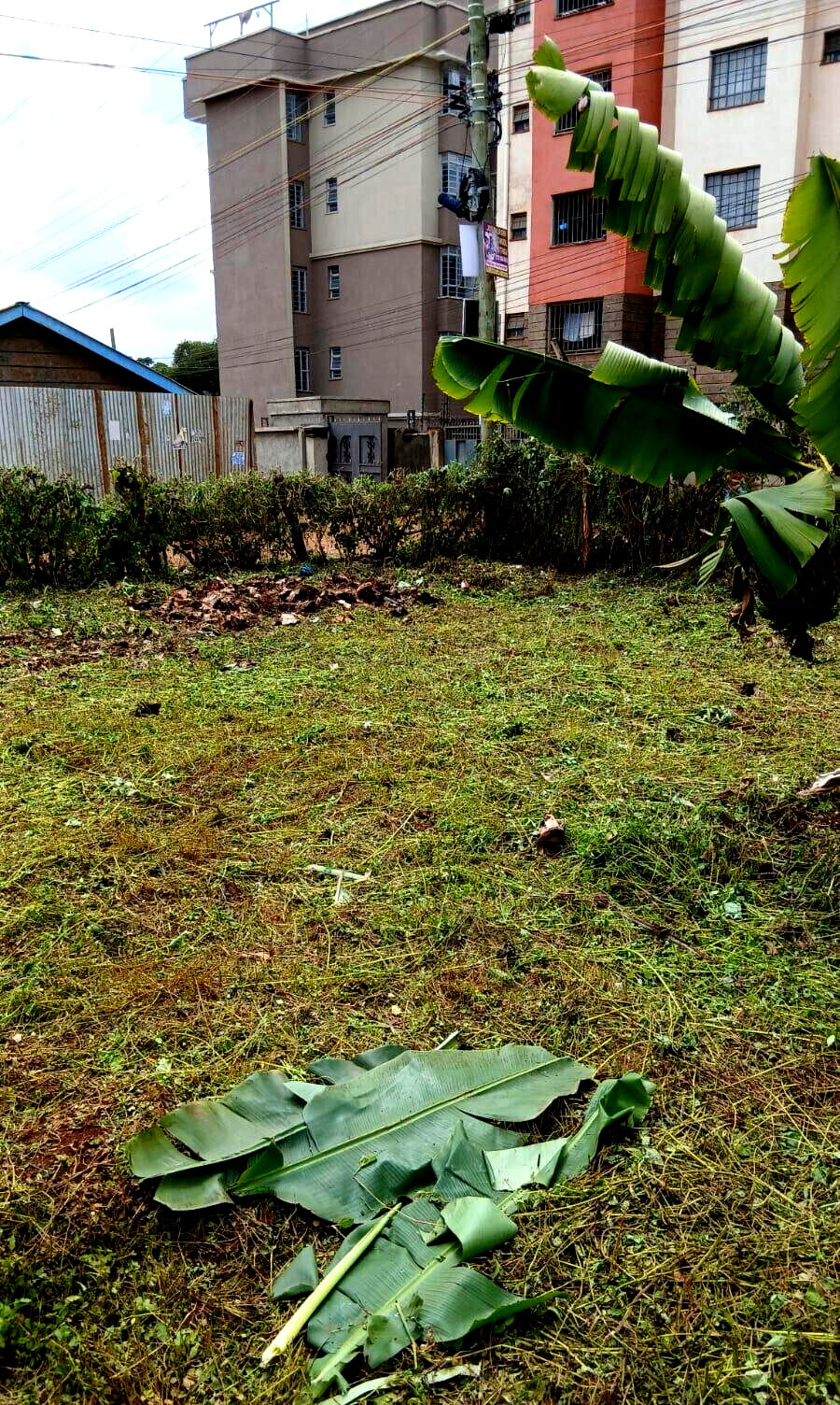 KSh 16M Main Road Plot