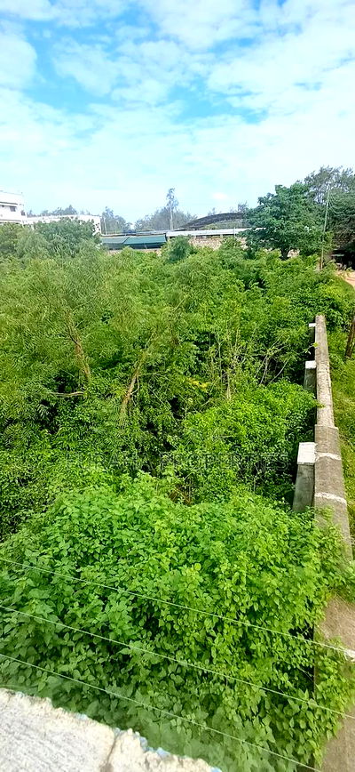 For Sale Quater Acre Plot Nyali - Image 1