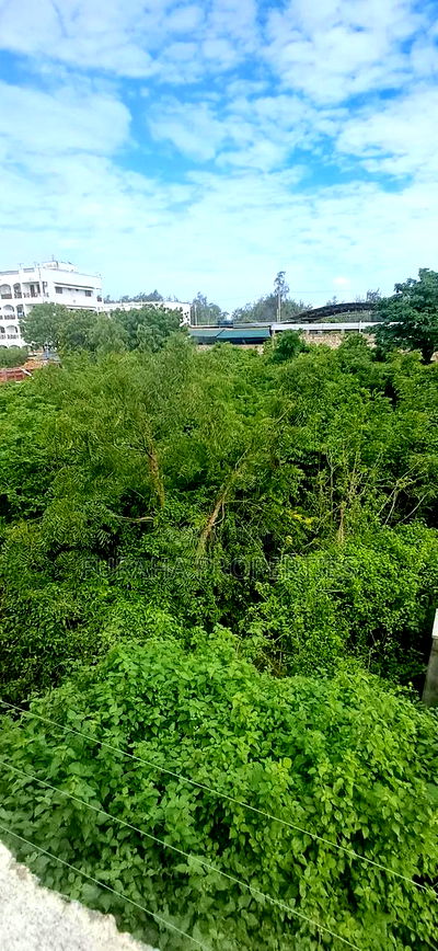 For Sale Quater Acre Plot Nyali - Image 2