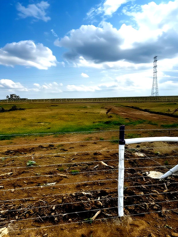 50 by 100 Plots, Good View of Mt Longonot, Cash