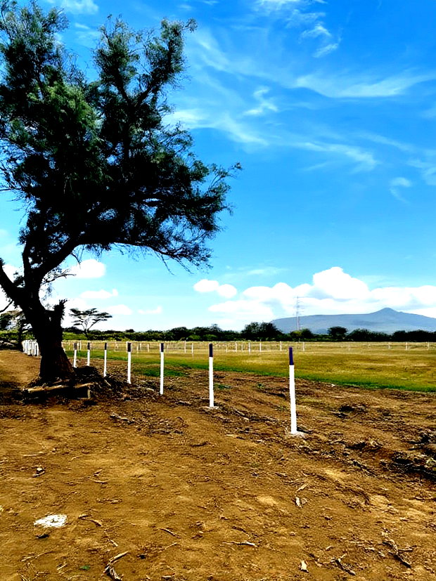 50 by 100 Plots, Good View of Mt Longonot, Cash