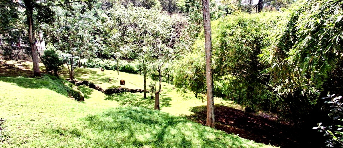 Garden Oasis at KSh 195K