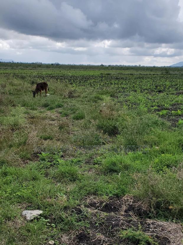 50by100 Plot for Sale