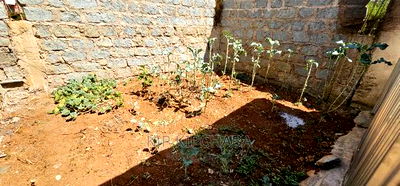 2bdrm House in Kiplombe for sale - Image 8