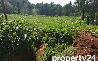 3-Acre Plot in Tigoni for KSh 27M