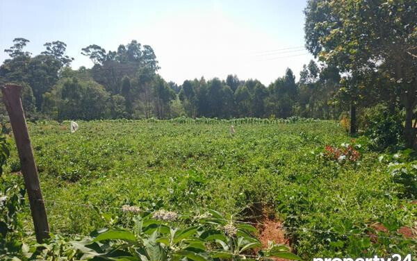 3-Acre Plot in Tigoni for KSh 27M