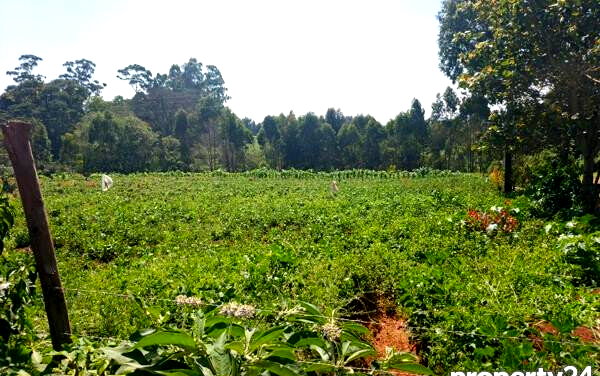 3-Acre Plot in Tigoni for KSh 27M