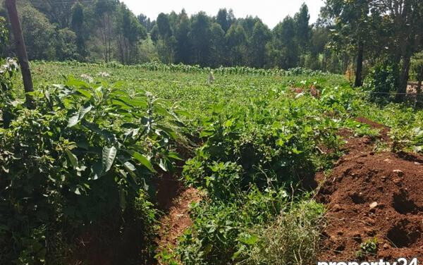 3-Acre Plot in Tigoni for KSh 27M