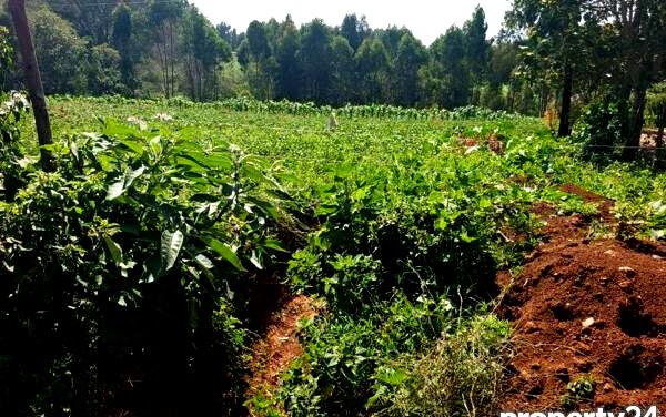 3-Acre Plot in Tigoni for KSh 27M