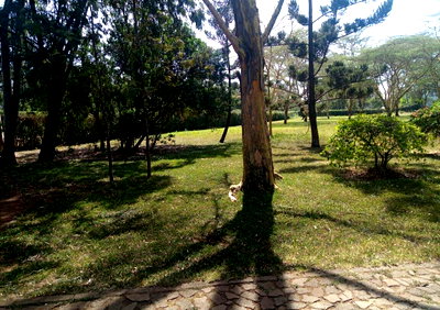 3-Acre Garden Land with Parking - Karen