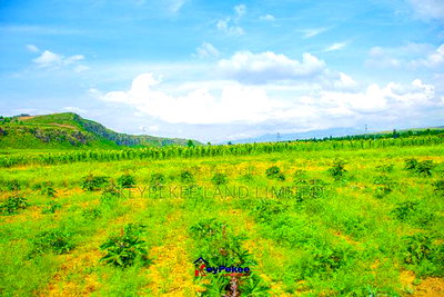 Nakuru Plots - Image 1
