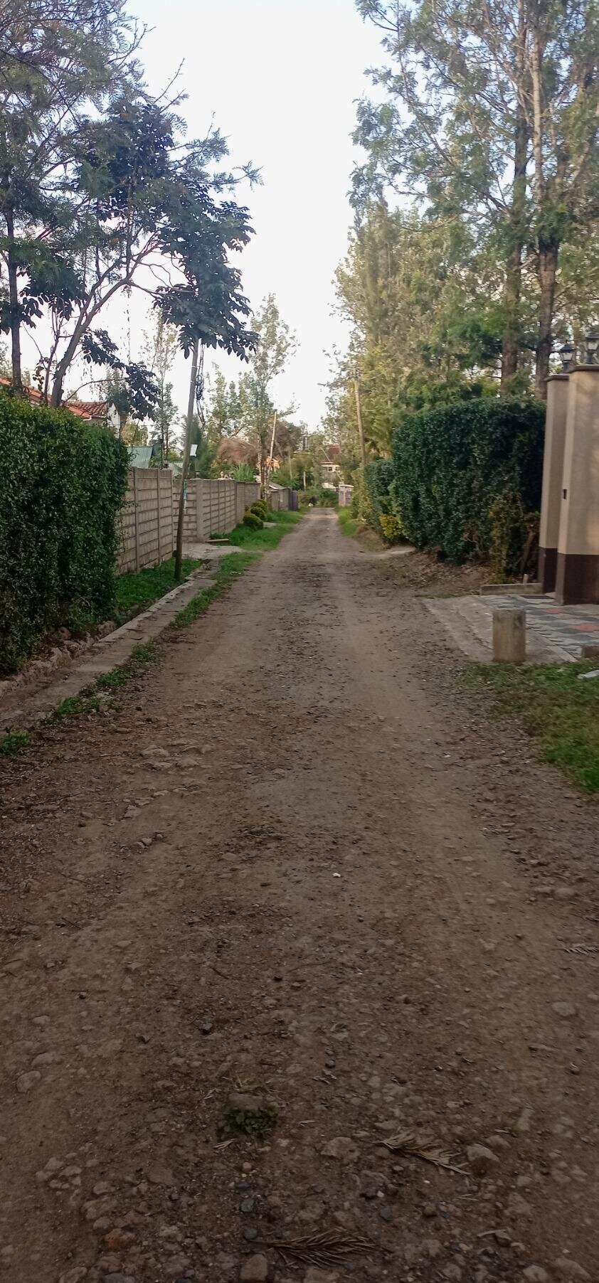 KSh 9M Quarter Acre Plot