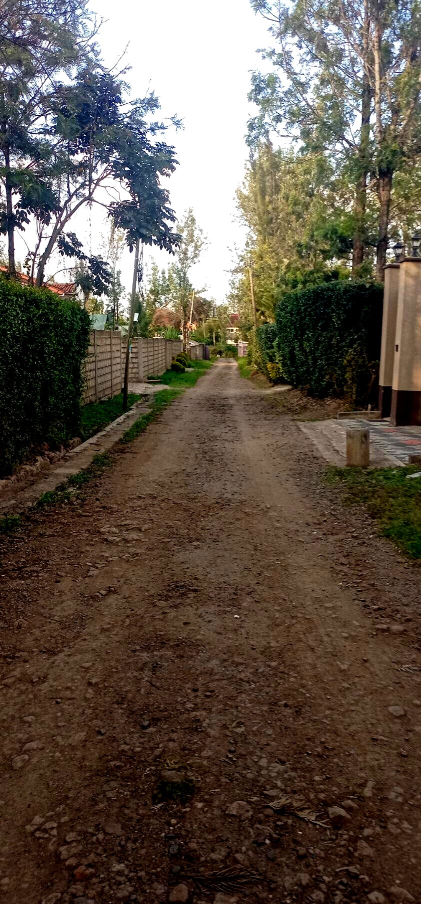 KSh 9M Quarter Acre Plot