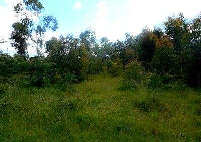 Quarter Acre Plot in Machakos Town