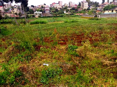 Kabuku Plots for Sale - Image 1