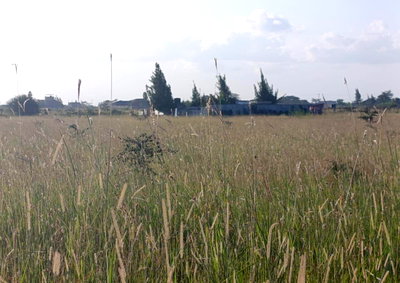 1/8 Acre Garden Plot in Joska