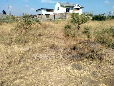 Prime Land in Ruiru - Image 2