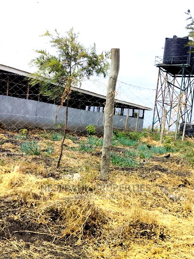 Kitengela Isinya Plots Size 50*100 - Image 13