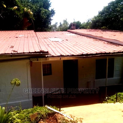 Furnished Studio Apartment in Motoin, Karen for Rent - Image 5