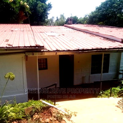 Furnished Studio Apartment in Motoin, Karen for Rent - Image 6