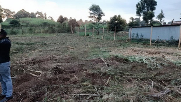 Prime Land Investment Opportunities in Kikuyu Kerwa