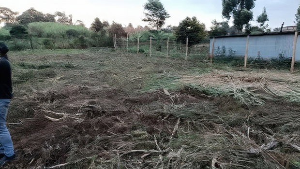 Prime Land Investment Opportunities in Kikuyu Kerwa