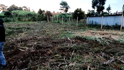 Prime Land Investment Opportunities in Kikuyu Kerwa - Image 3