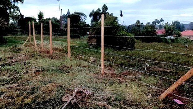 Prime Land Investment Opportunities in Kikuyu Kerwa