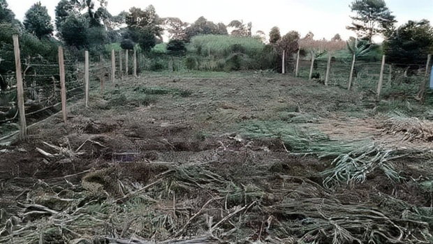 Prime Land Investment Opportunities in Kikuyu Kerwa