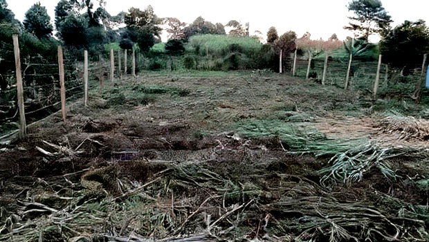 Prime Land Investment Opportunities in Kikuyu Kerwa