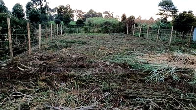 Prime Land Investment Opportunities in Kikuyu Kerwa - Image 1