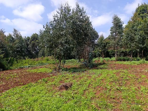 Prime Residential Plots in Gikambura, Kikuyu (Jambu Tv Rd)