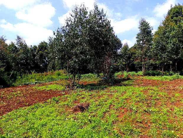 Prime Residential Plots in Gikambura, Kikuyu (Jambu Tv Rd)