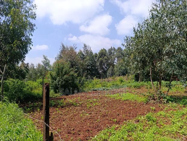 Prime Residential Plots in Gikambura, Kikuyu (Jambu Tv Rd)