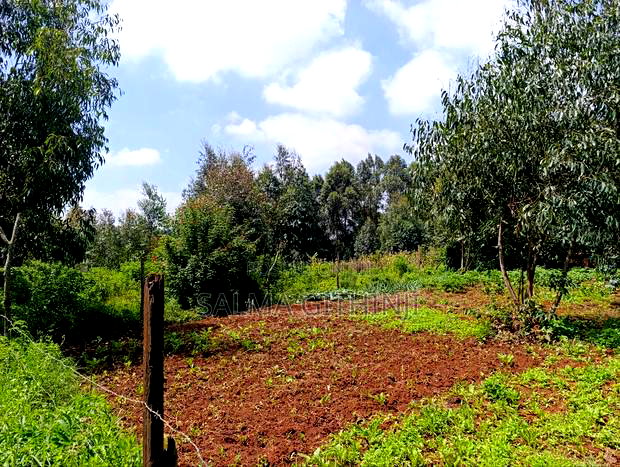 Prime Residential Plots in Gikambura, Kikuyu (Jambu Tv Rd)