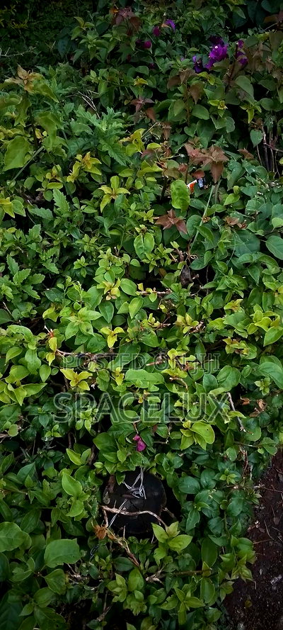 1 Acre Westlands Prime Land - Image 1