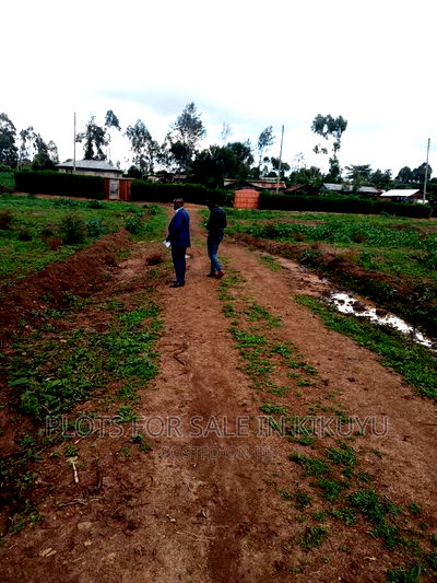 Plots Within Kikuyu - Image 3