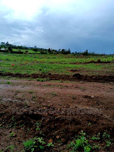 Plots Within Kikuyu - Image 2