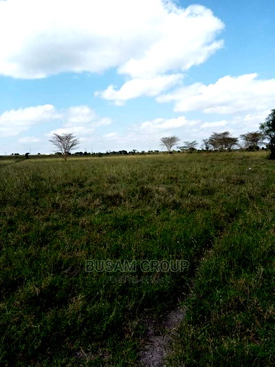 Affordable Plots for Sale - Image 3