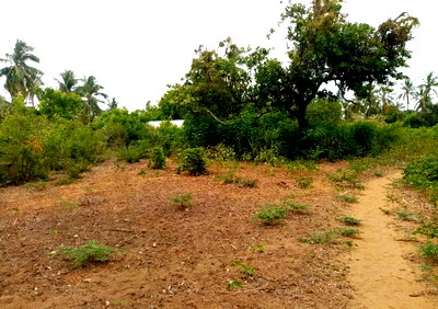 5-Acre Plot Under 2M
