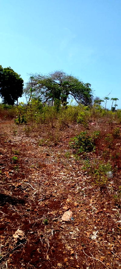 1 1/2 Acre Plot on Sale in Galu Beach. - Image 11