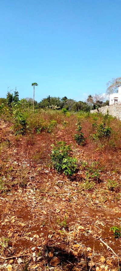 1 1/2 Acre Plot on Sale in Galu Beach. - Image 7