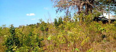 1 1/2 Acre Plot on Sale in Galu Beach. - Image 10