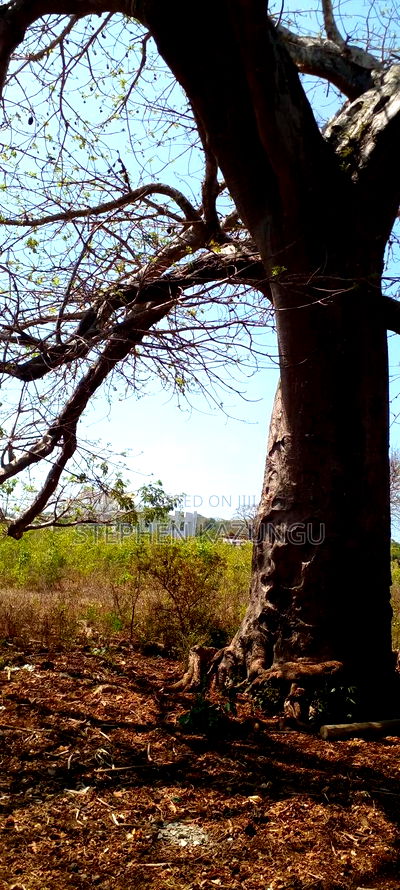 1 1/2 Acre Plot on Sale in Galu Beach. - Image 8